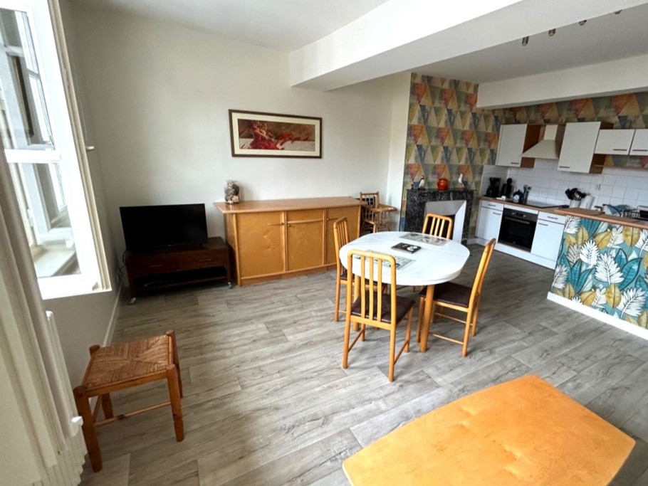 Pièce de vie avec coin salon (canapé convertible pour 2 personnes), coin séjour et coin cuisine ouverte.