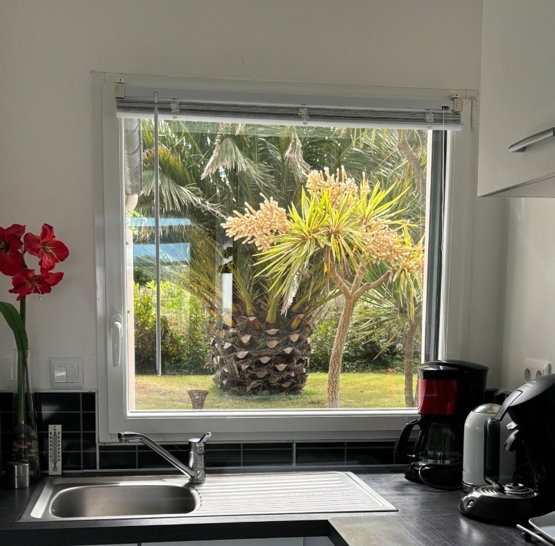 de l'évier vue  sur le jardin