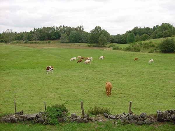 vue depuis l'appartement