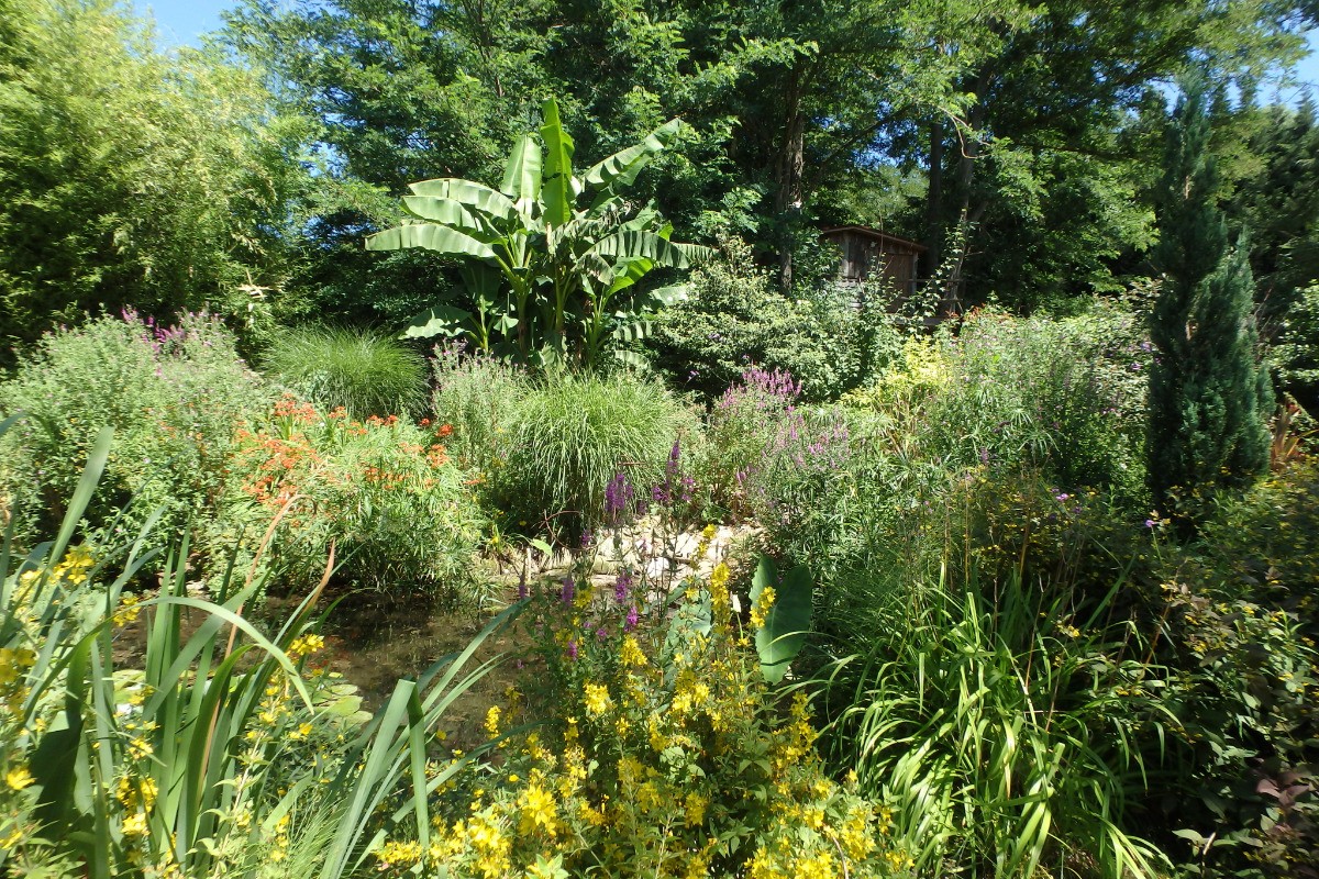 ballade dans notre jardin.