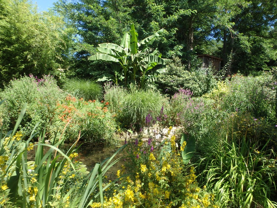 ballade dans notre jardin.