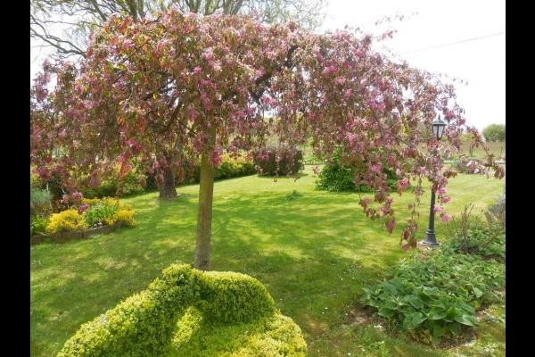 Photo n° 14 de la location