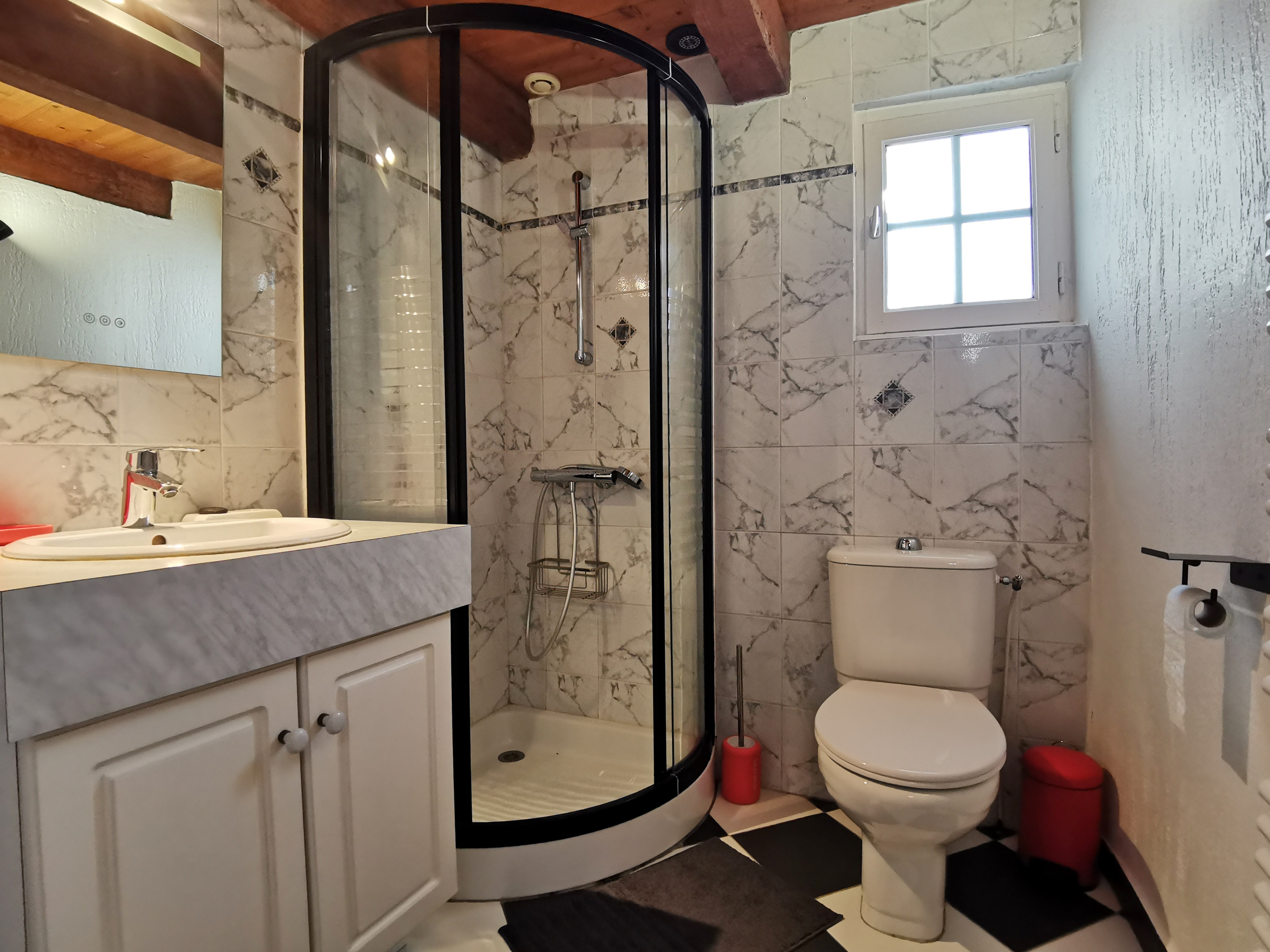 Shower room with toilet