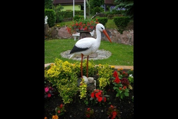 Décor au centre du parc en commun