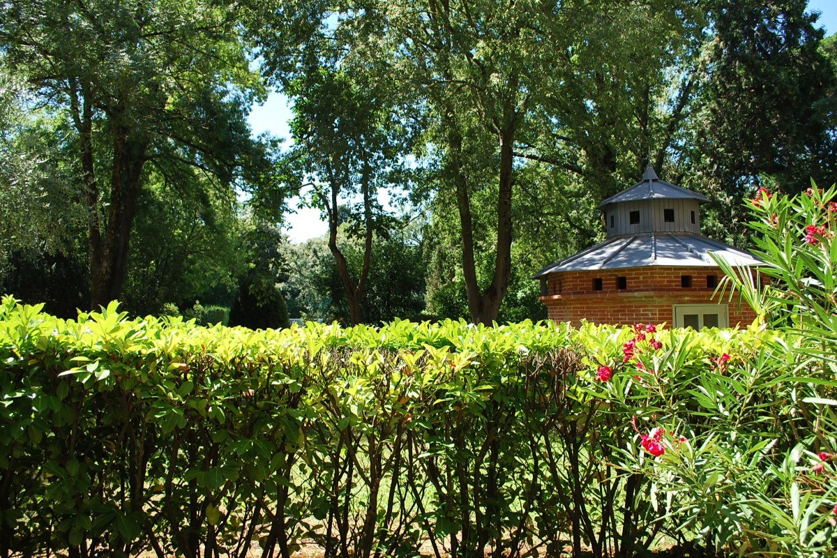 Photo n° 17 de la location