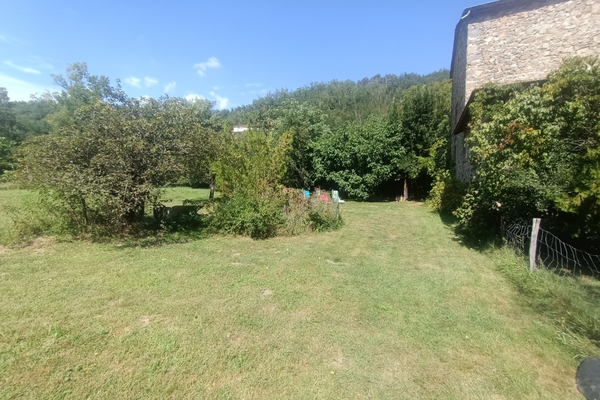 Vue d'ensemble du jardin
