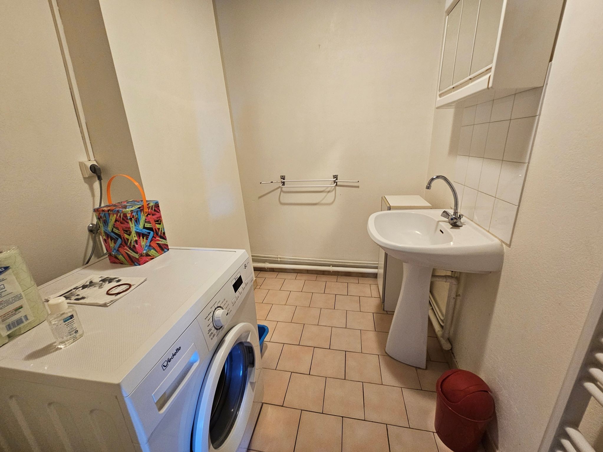 salle d'eau avec douche, lave linge et lavabo