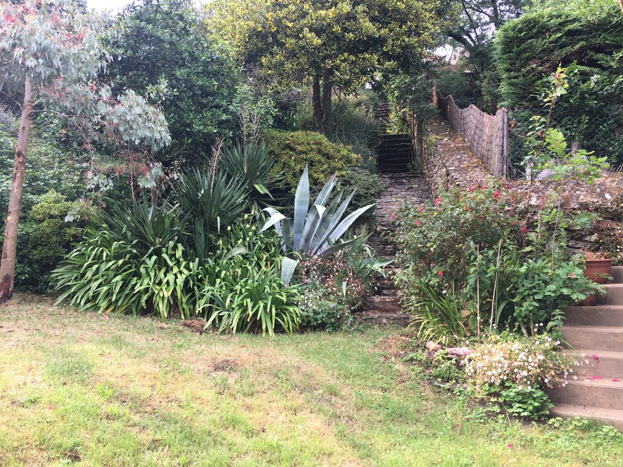 le jardin de la maison