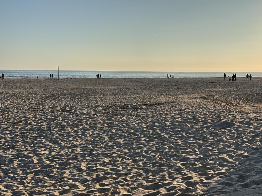 Photo n° 19 de la location