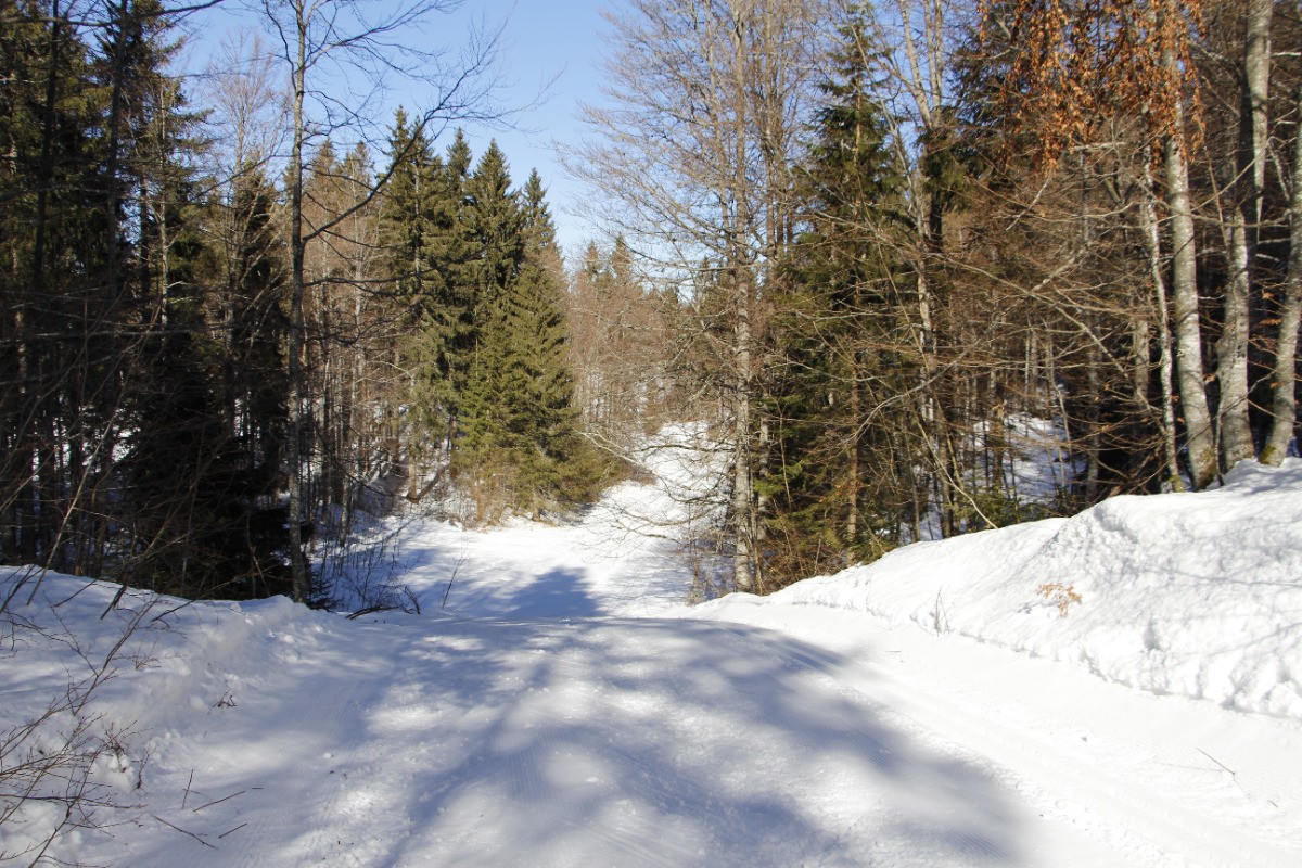 Photo n° 15 de la location