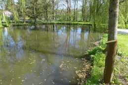 Image n° 5 de la location