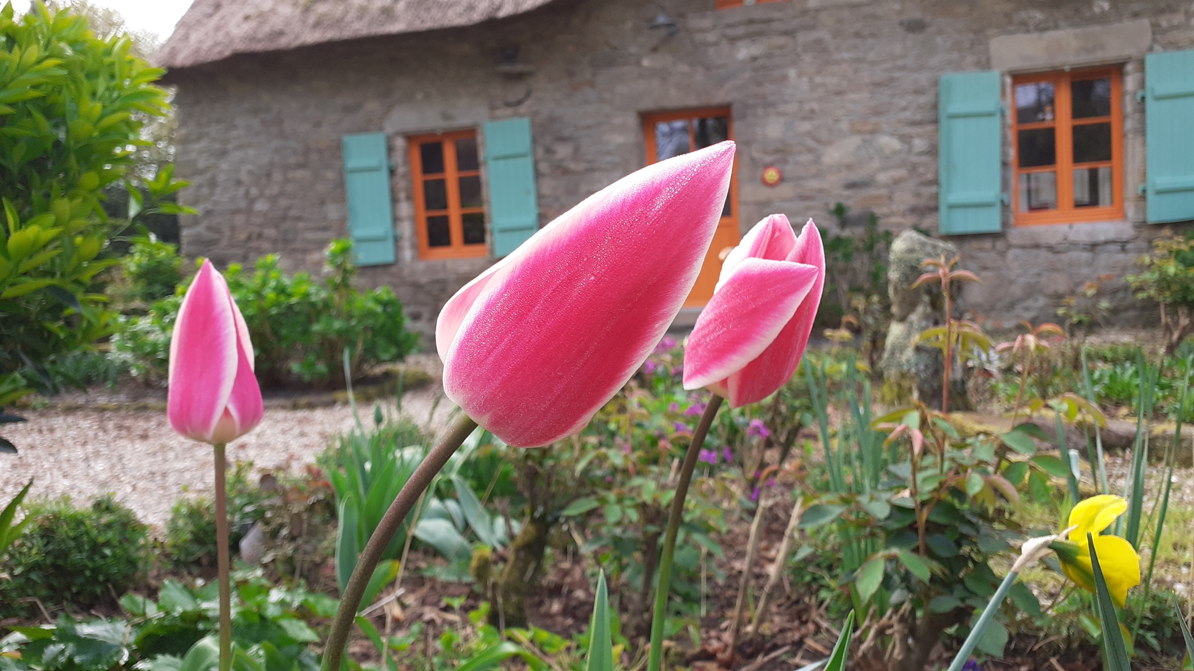au jardin de BrAd en Brière