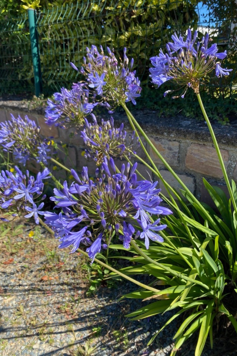 Location de vacances, 2 personnes, LANTIC,