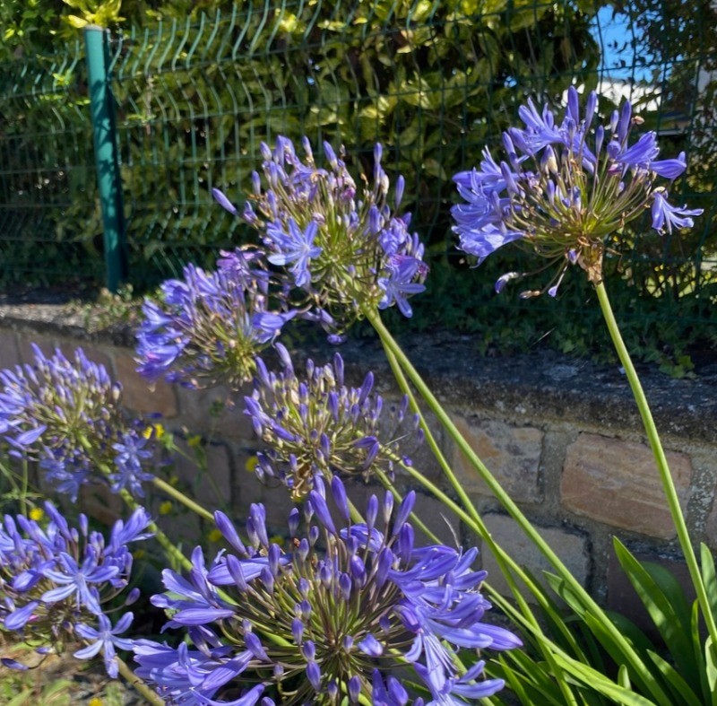 Location de vacances, 2 personnes, LANTIC,