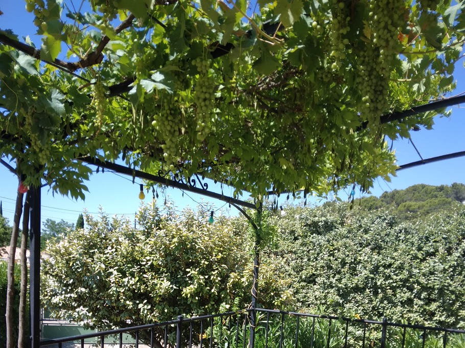 Photo n° 17 of the location