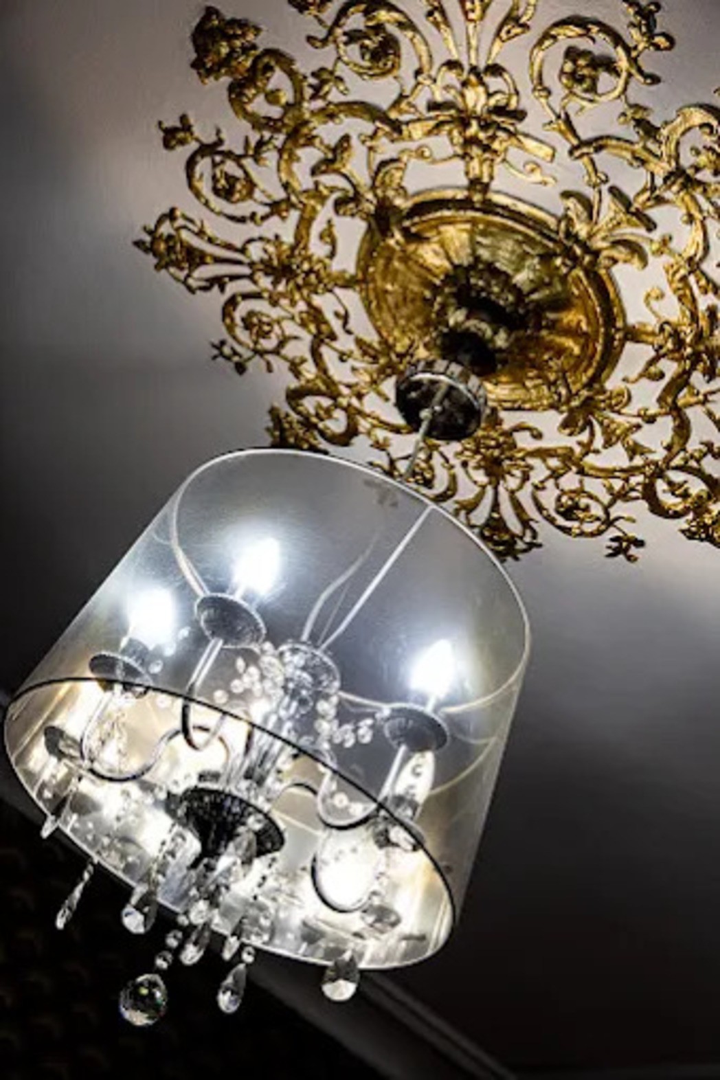 Photo n° 14 de la location