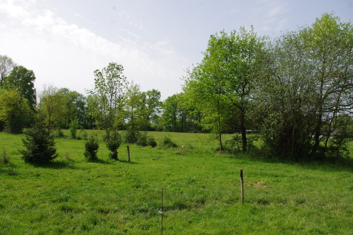 PAYSAGE AUTOUR TINY