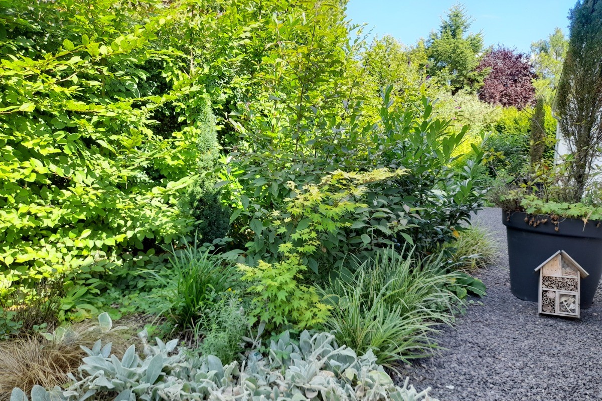 terrasse côté est