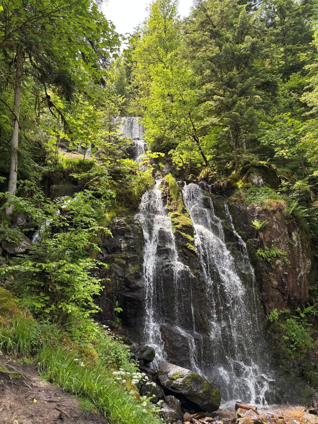 Tendon waterfall