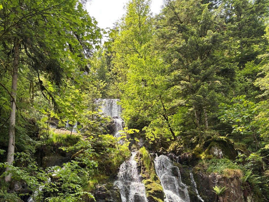 Tendon waterfall