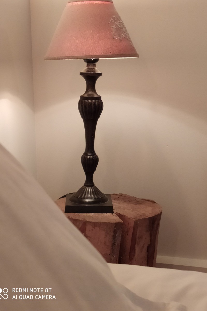 chambre 2 lit 90 décor bois couleur blanche La Maison de Jeanne" gite cantal