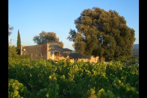 Les vignes autour