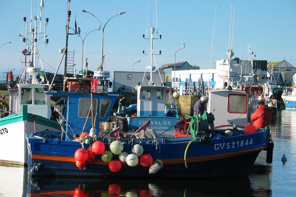 bateaux dans le port