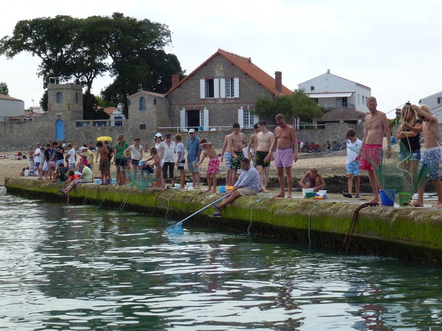 la pêche aux éperlans