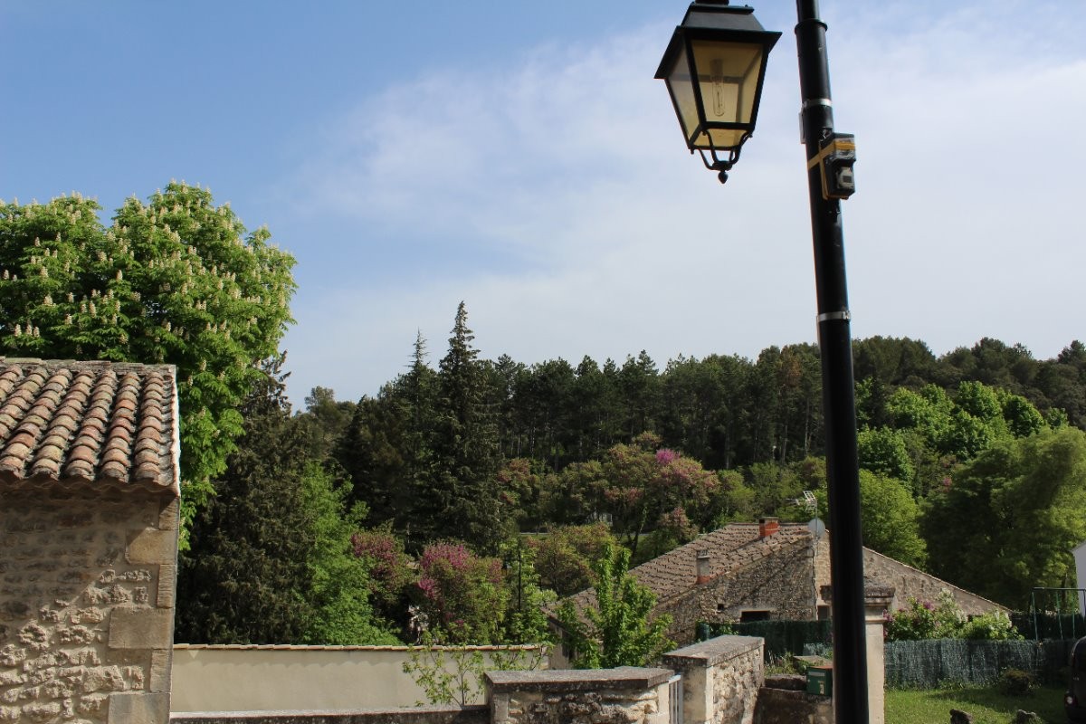 La forêt entourant le village
