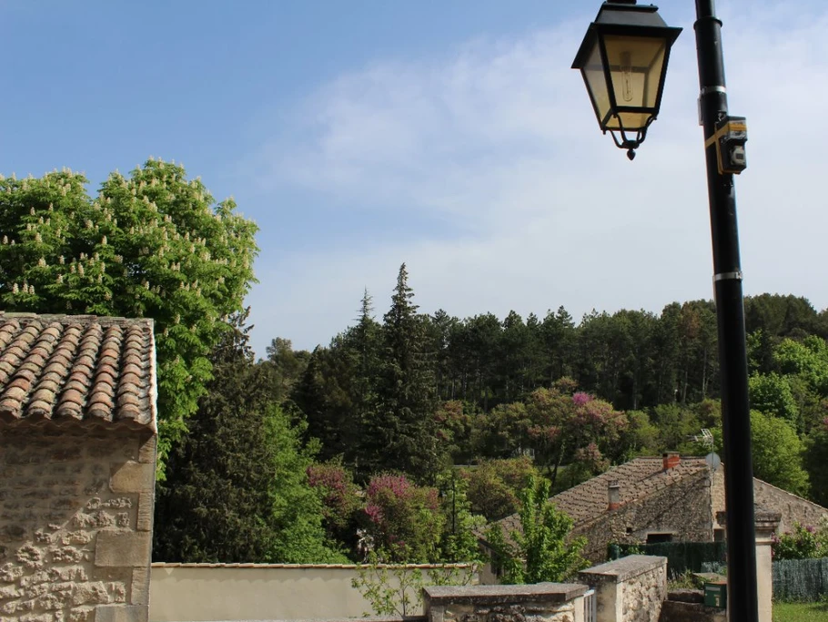 La forêt entourant le village