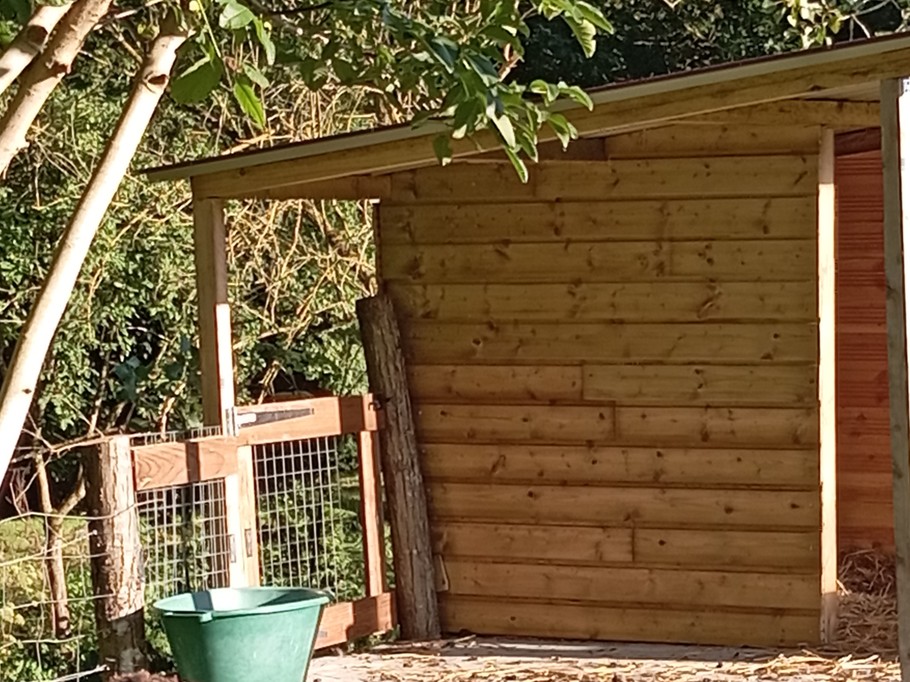 Photo n° 16 de la location