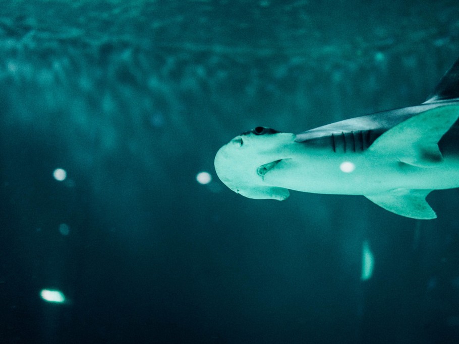 Photo n° 18 de la location