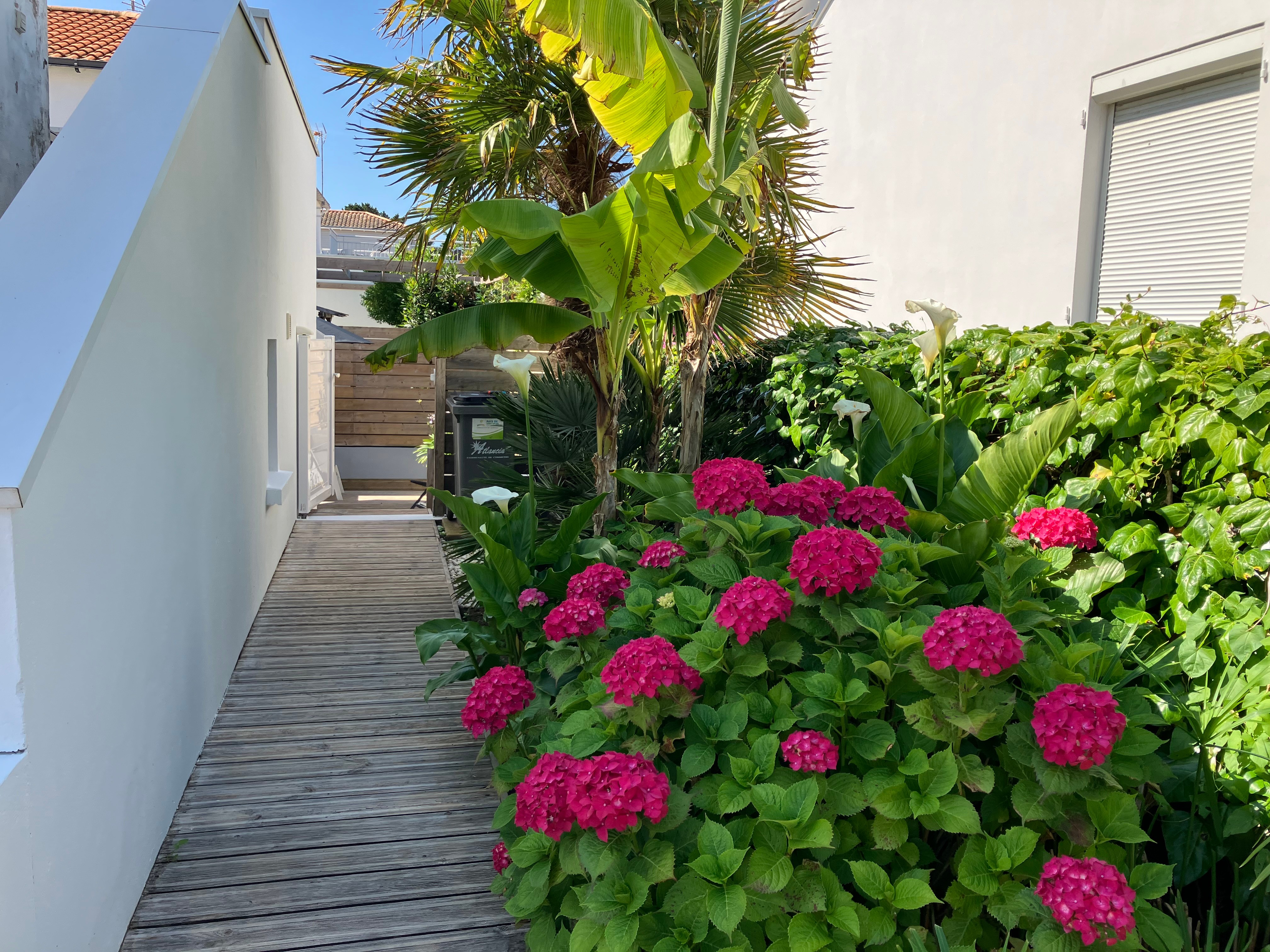 Photo n° 12 of the location