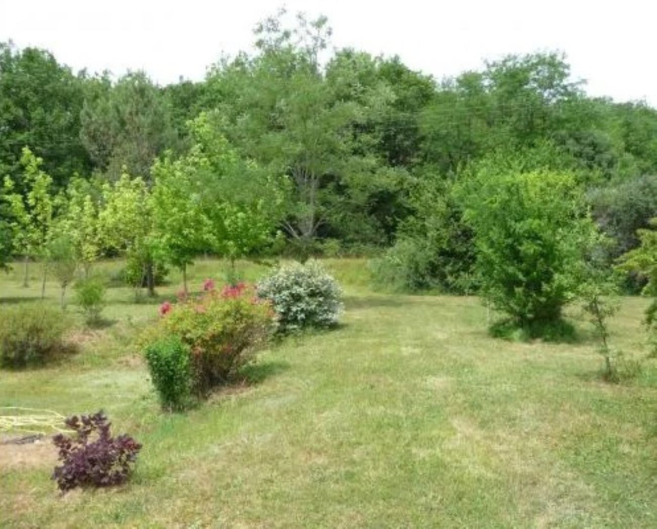 Arrière plan, coté droit  maison
