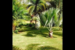 Image n° 3 de la location