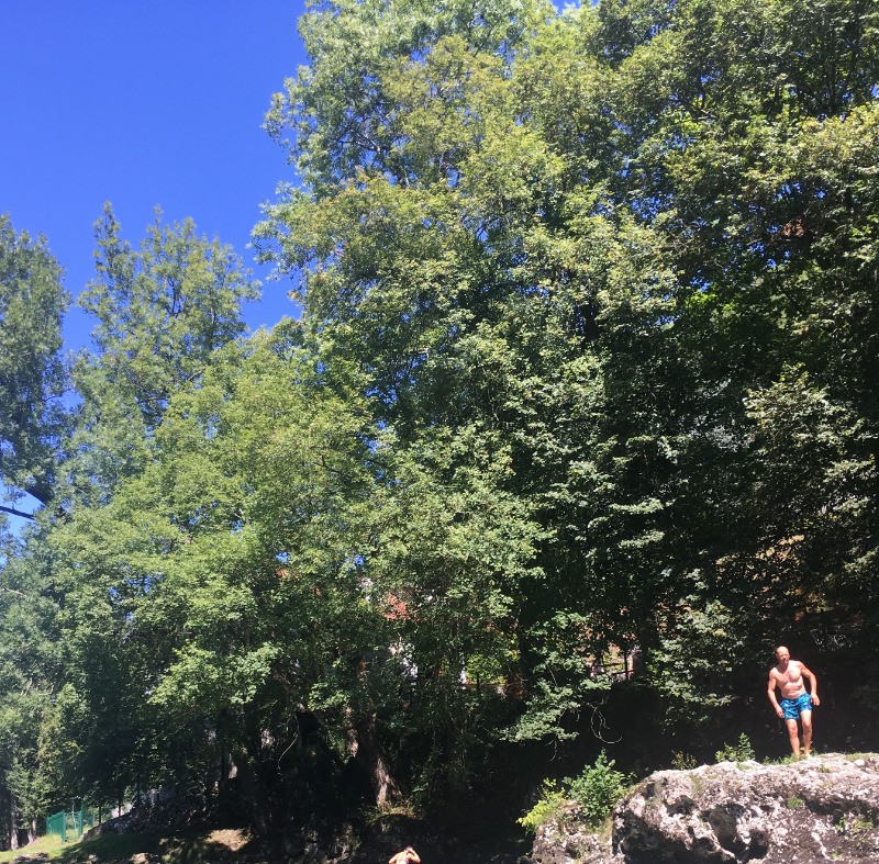 Piscine naturelle sur les bords de la Neste à 200 m du gîte