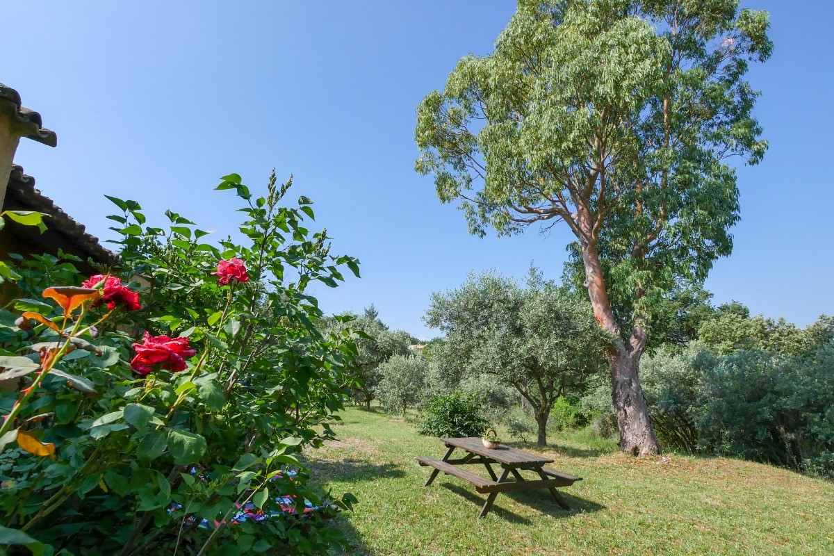 Photo n° 15 of the location