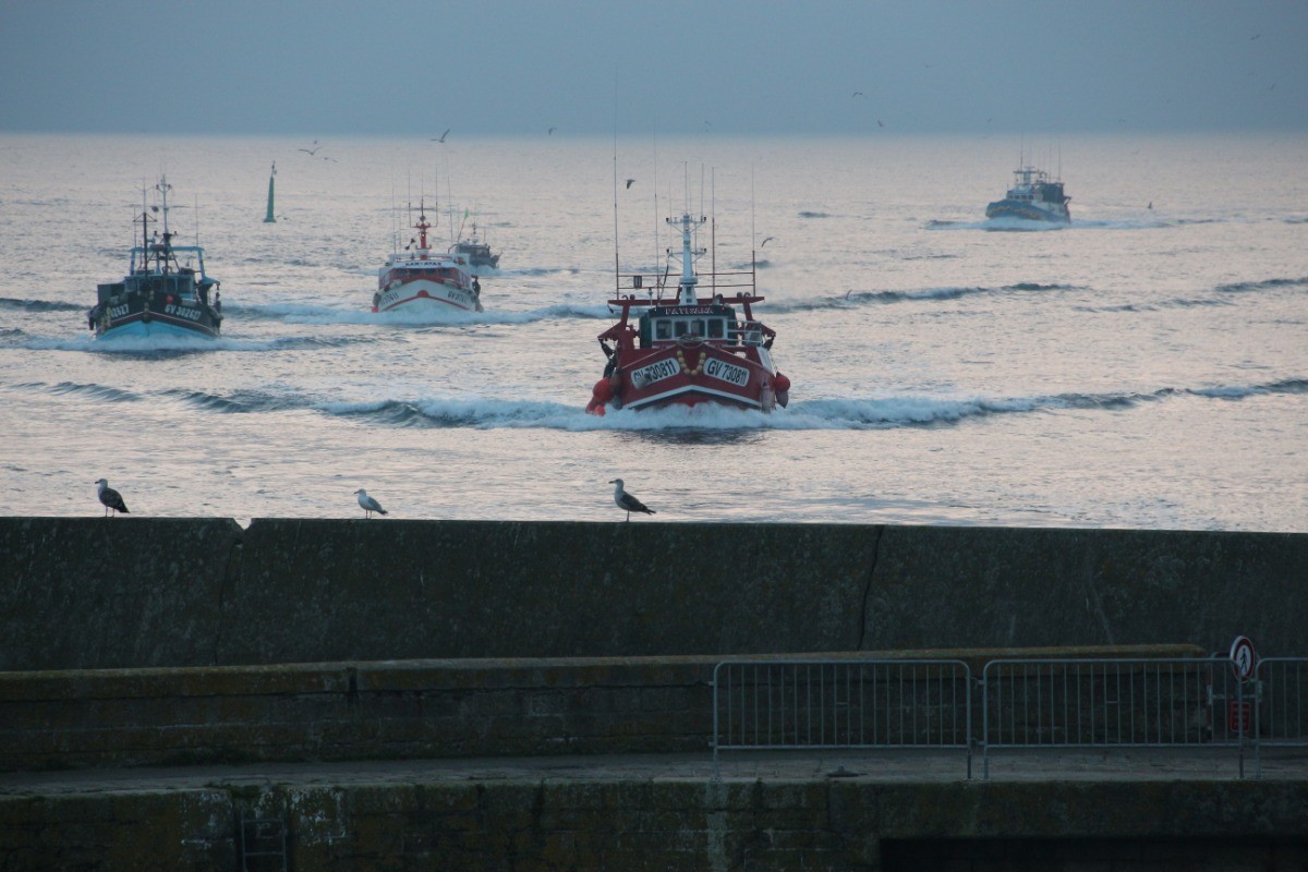 Port du Guilvinec (retour des pêcheurs)