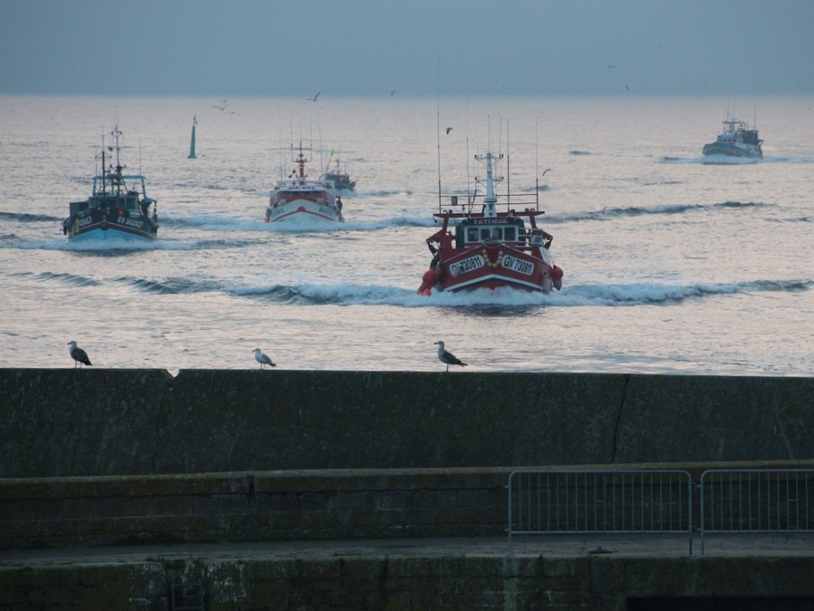 Port du Guilvinec (retour des pêcheurs)