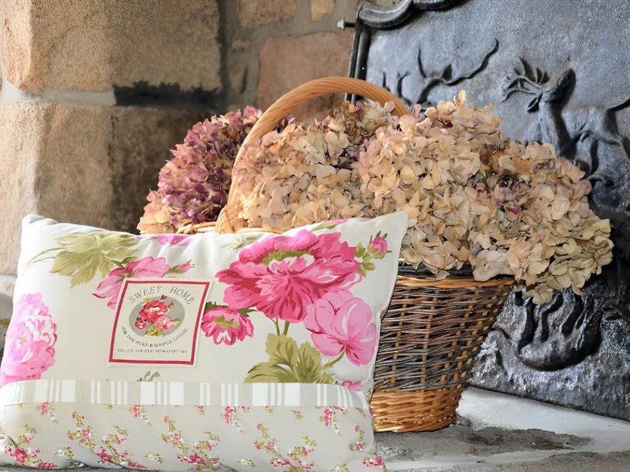 Cuisine / Salon / Séjour au RDC