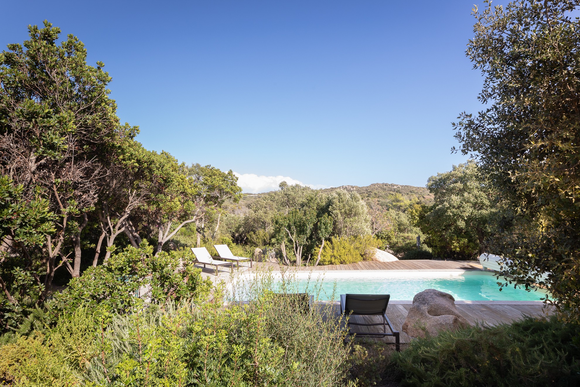 Swimming pool and terrace