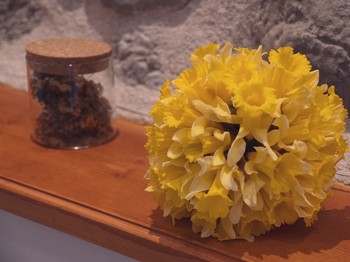 Photo n° 8 de la location