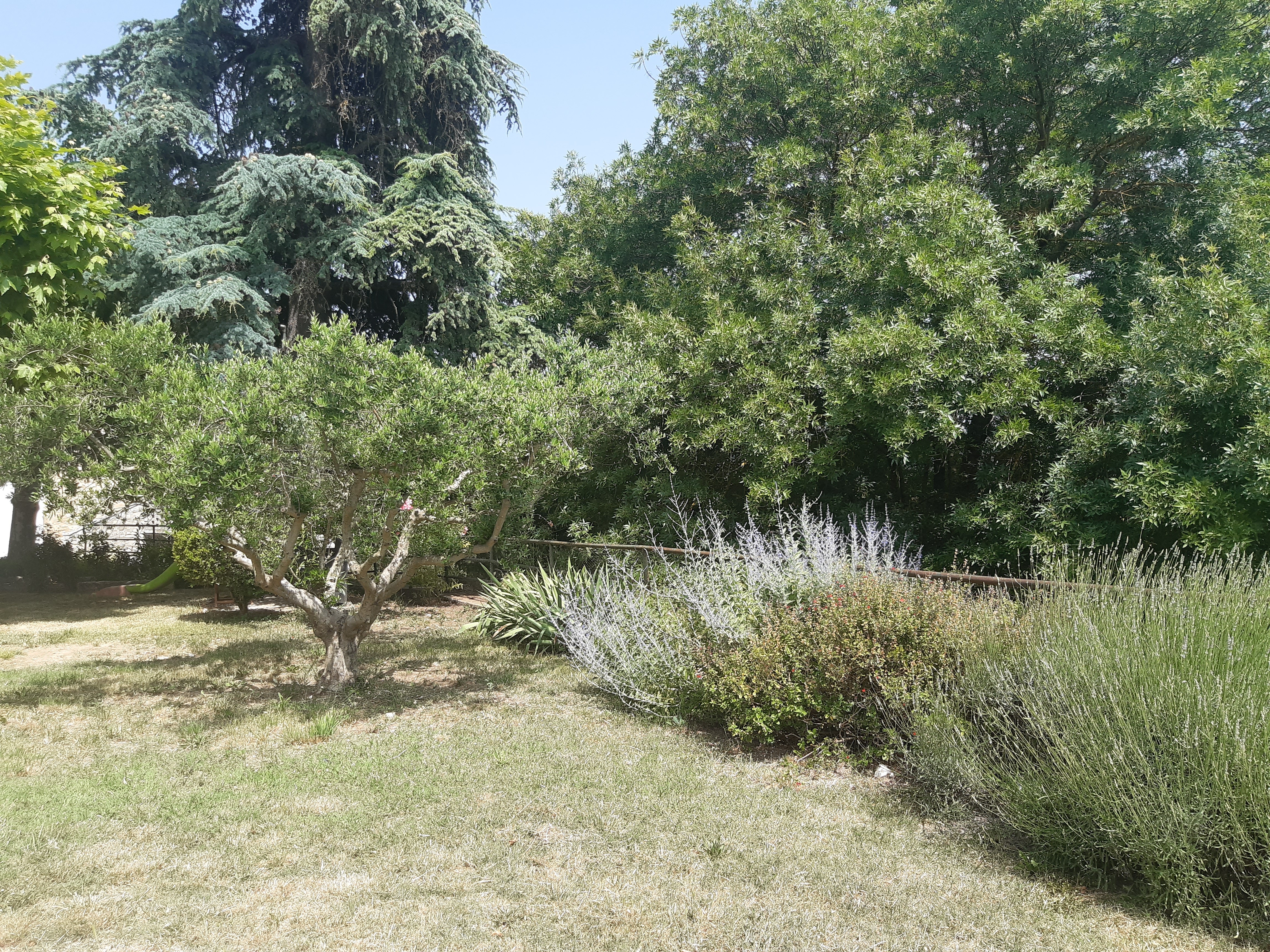 Image n° 5 de la location