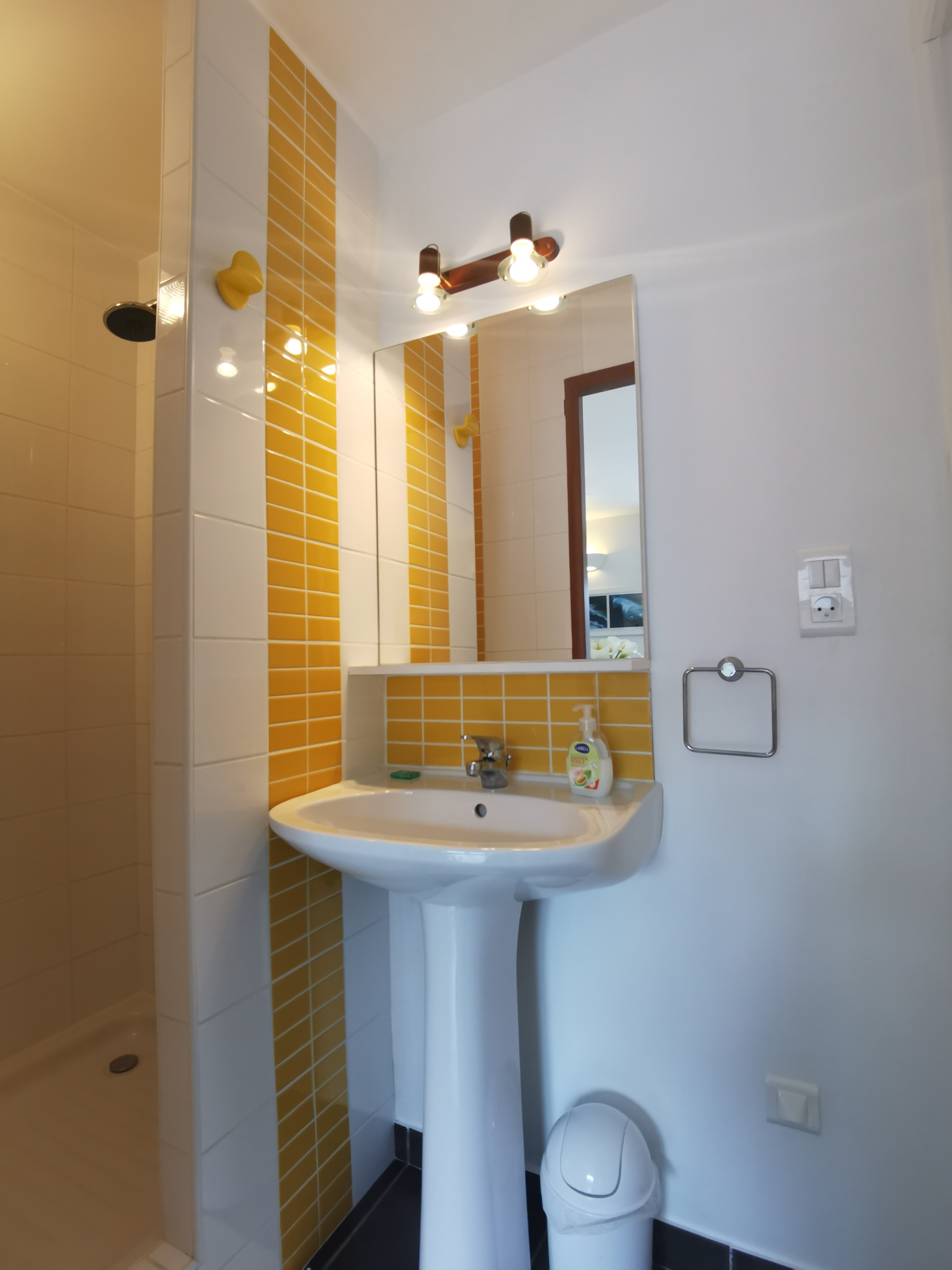 Salle d'eau au RDC et WC