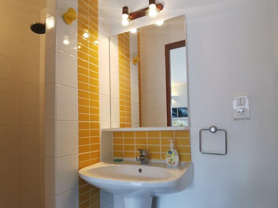 Salle d'eau au RDC et WC