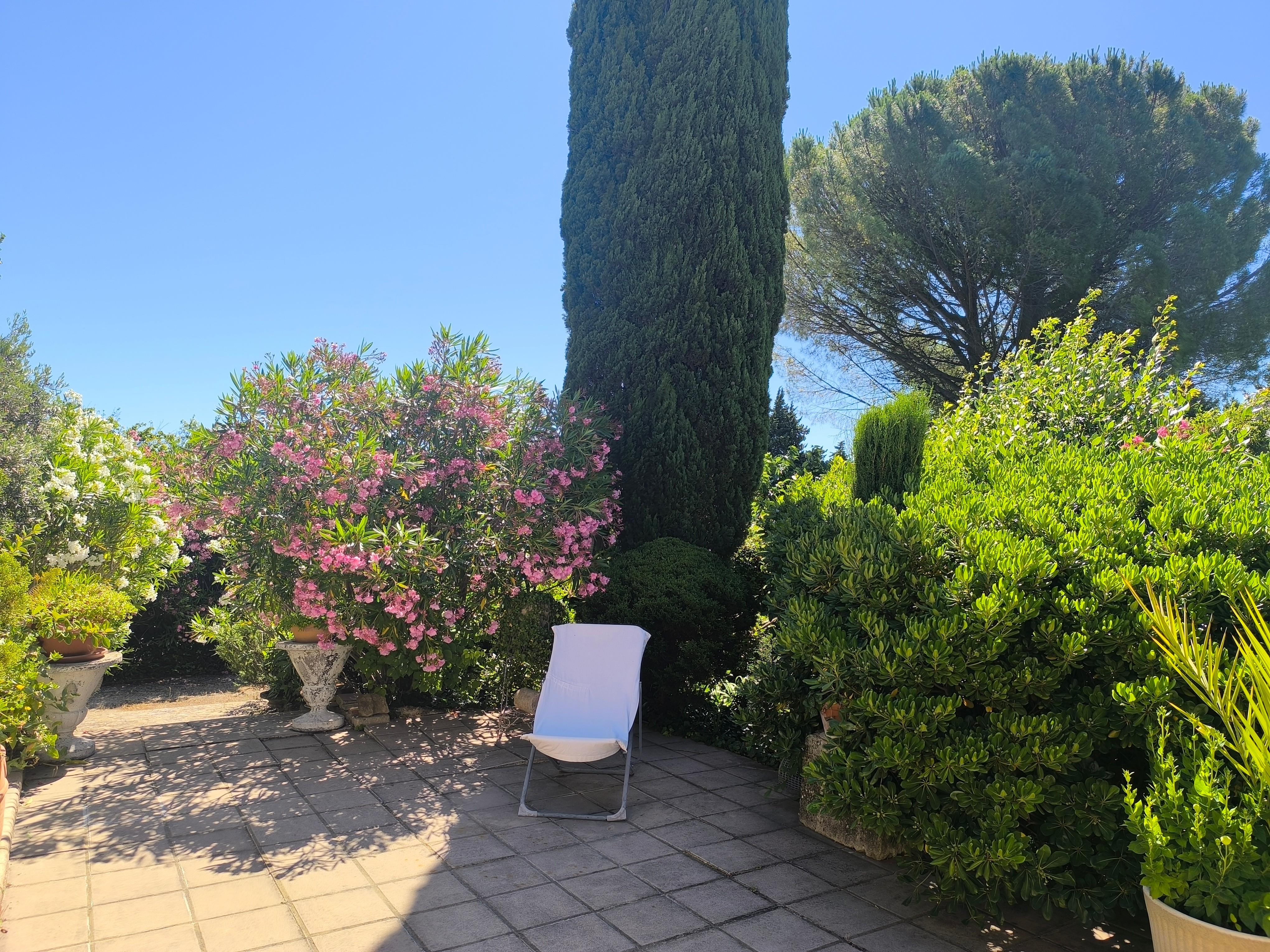 Photo n° 6 of the location