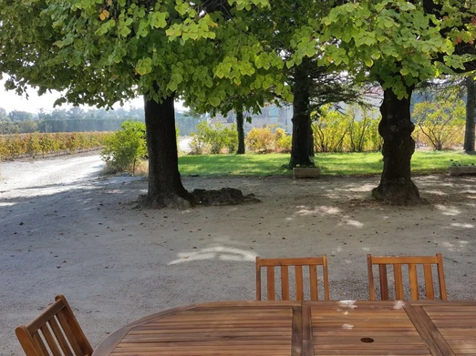 Image n° 1 de la location