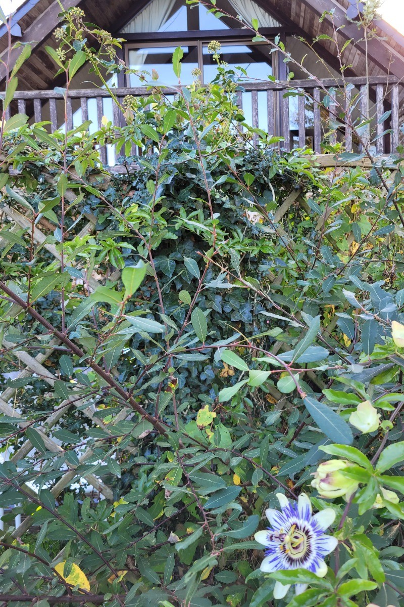 Photo n° 14 of the location
