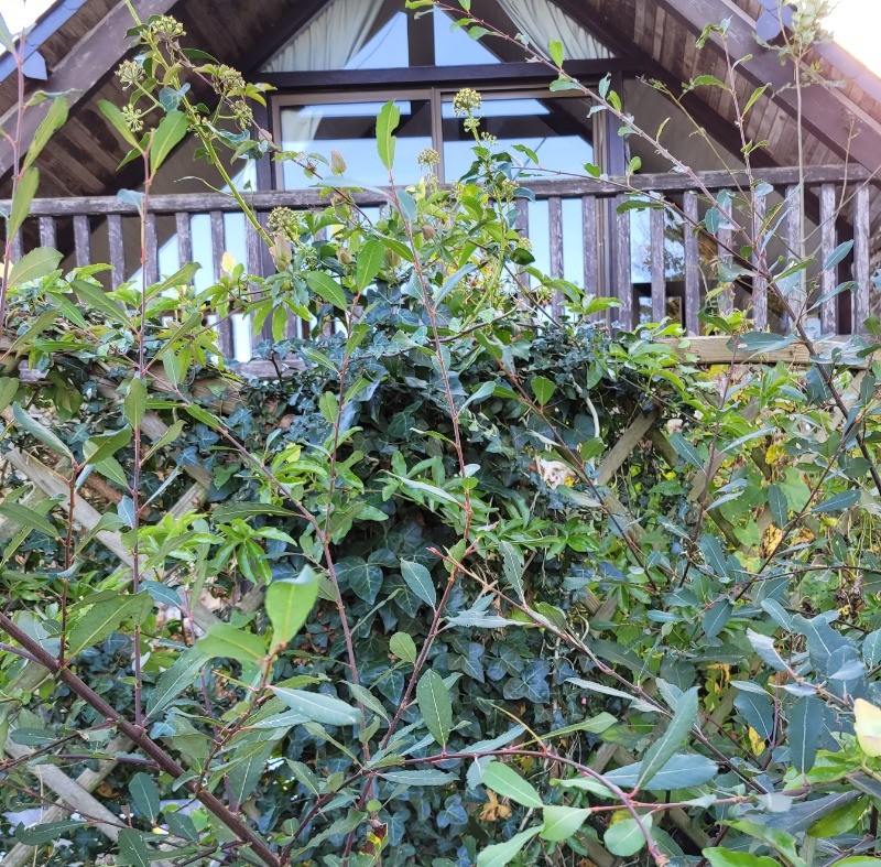 Photo n° 14 of the location