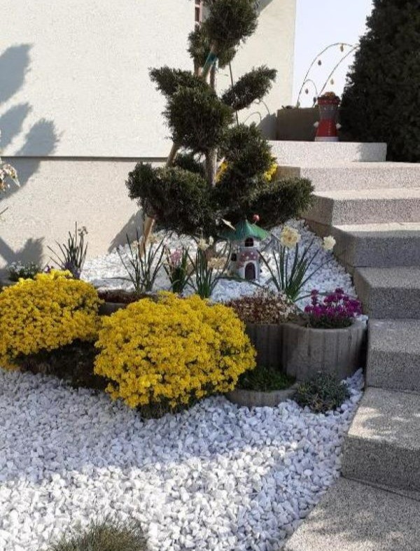 Photo n° 14 de la location